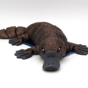 Platypus by MatMire Makes