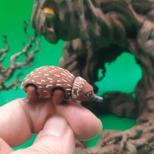Echidna - Teeny Weeny by Squiz Creations