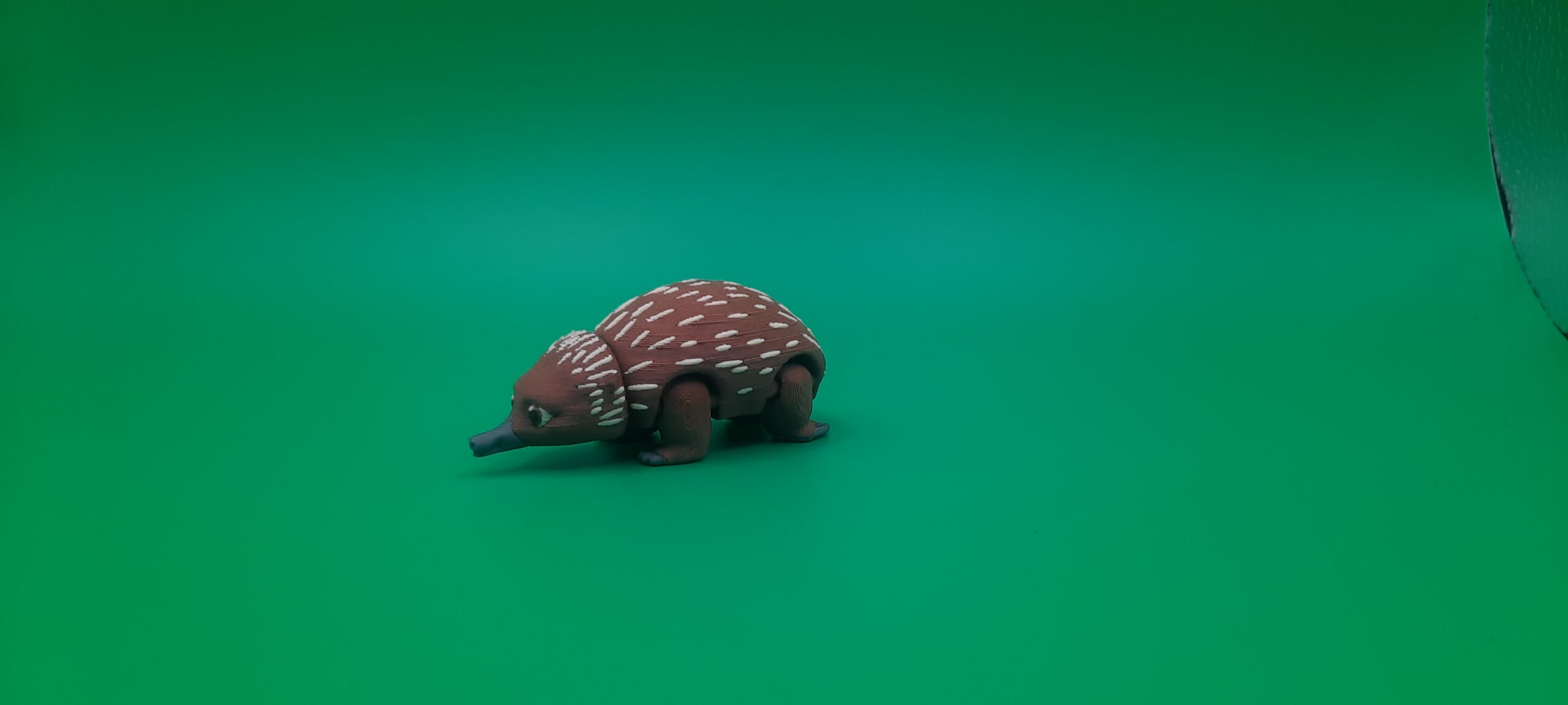 Echidna - Pocket Pet by Squiz Creations - Image 3