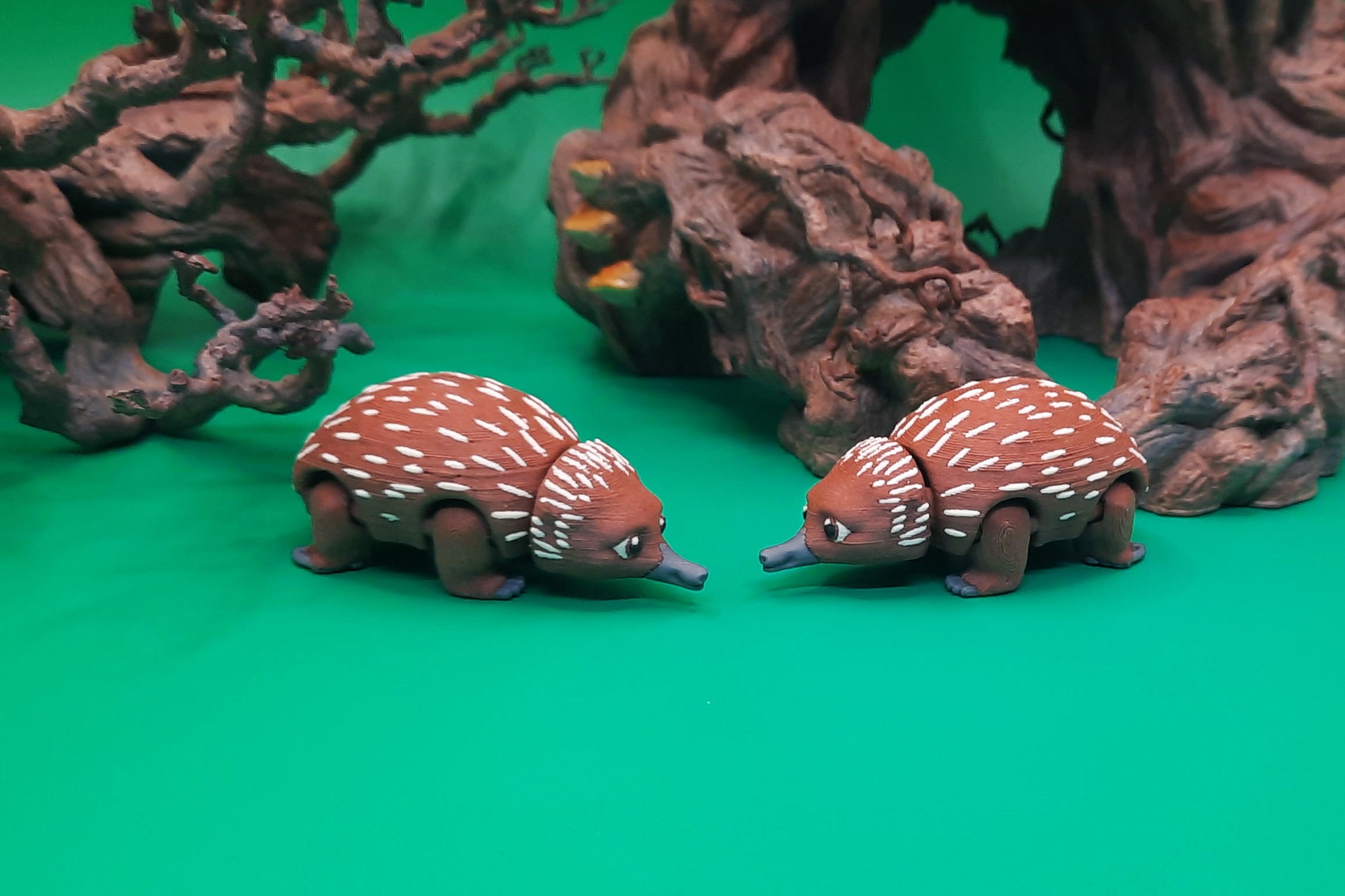 Echidna - Pocket Pet by Squiz Creations - Image 2