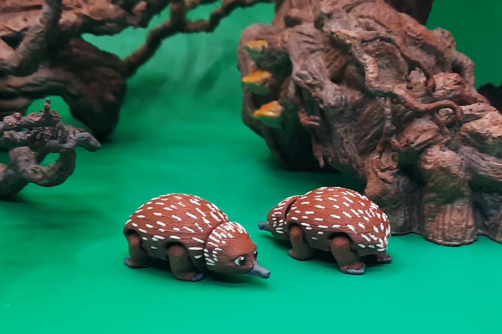Echidna - Teeny Weeny by Squiz Creations - Image 2