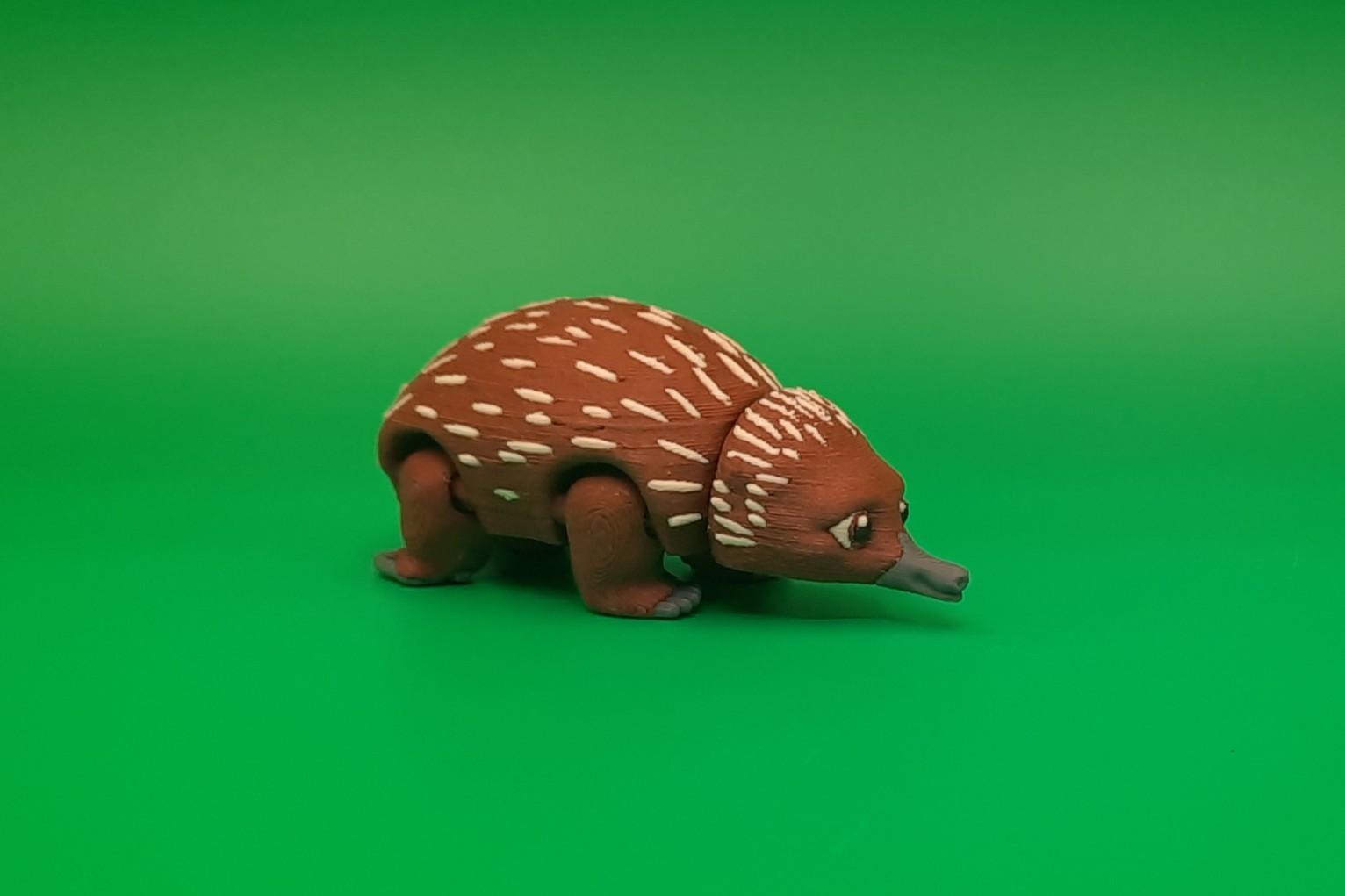 Echidna - Pocket Pet by Squiz Creations