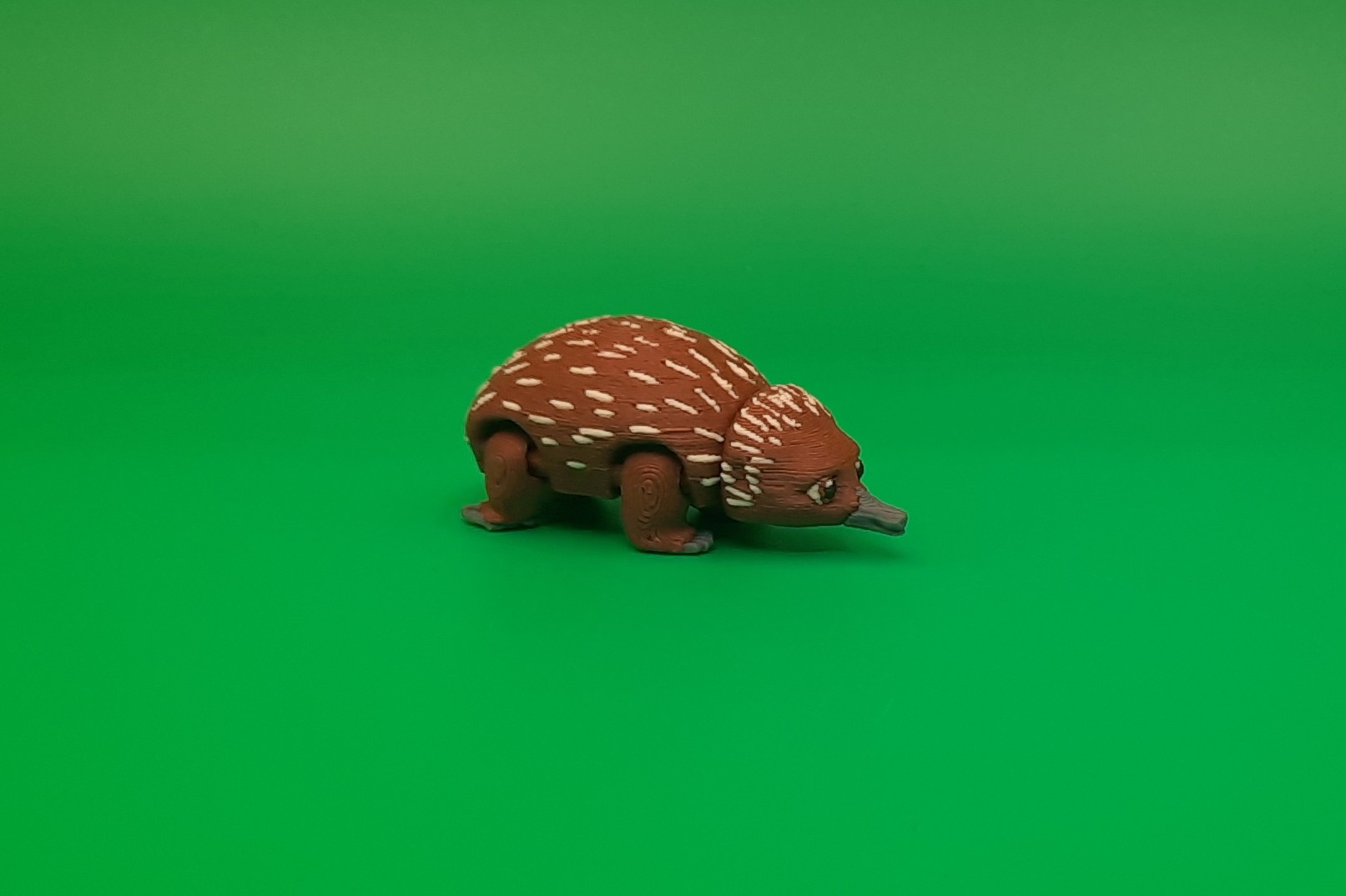 Echidna - Teeny Weeny by Squiz Creations - Image 4