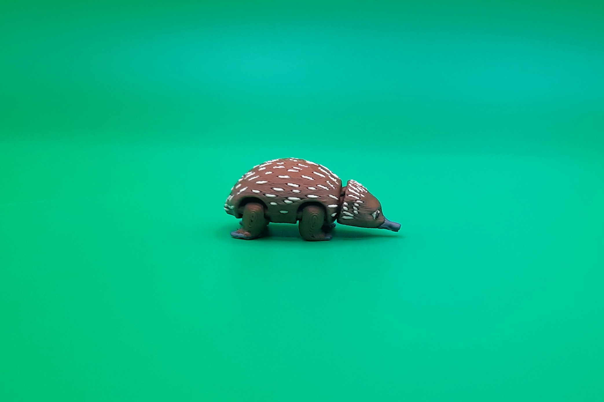 Echidna - Teeny Weeny by Squiz Creations - Image 5
