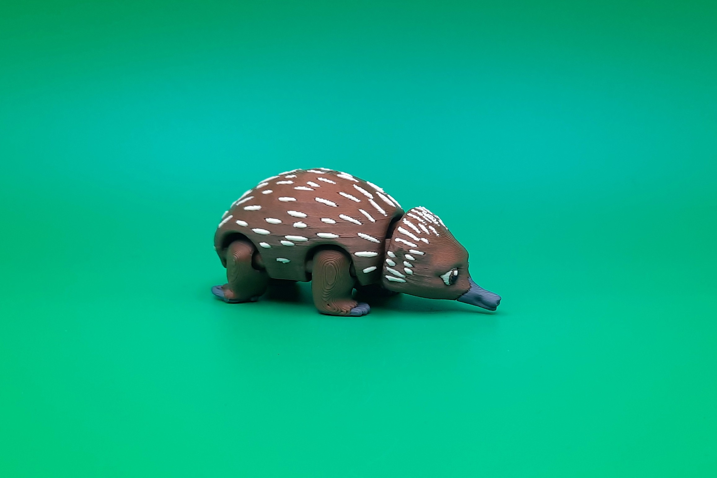 Echidna - Pocket Pet by Squiz Creations - Image 5