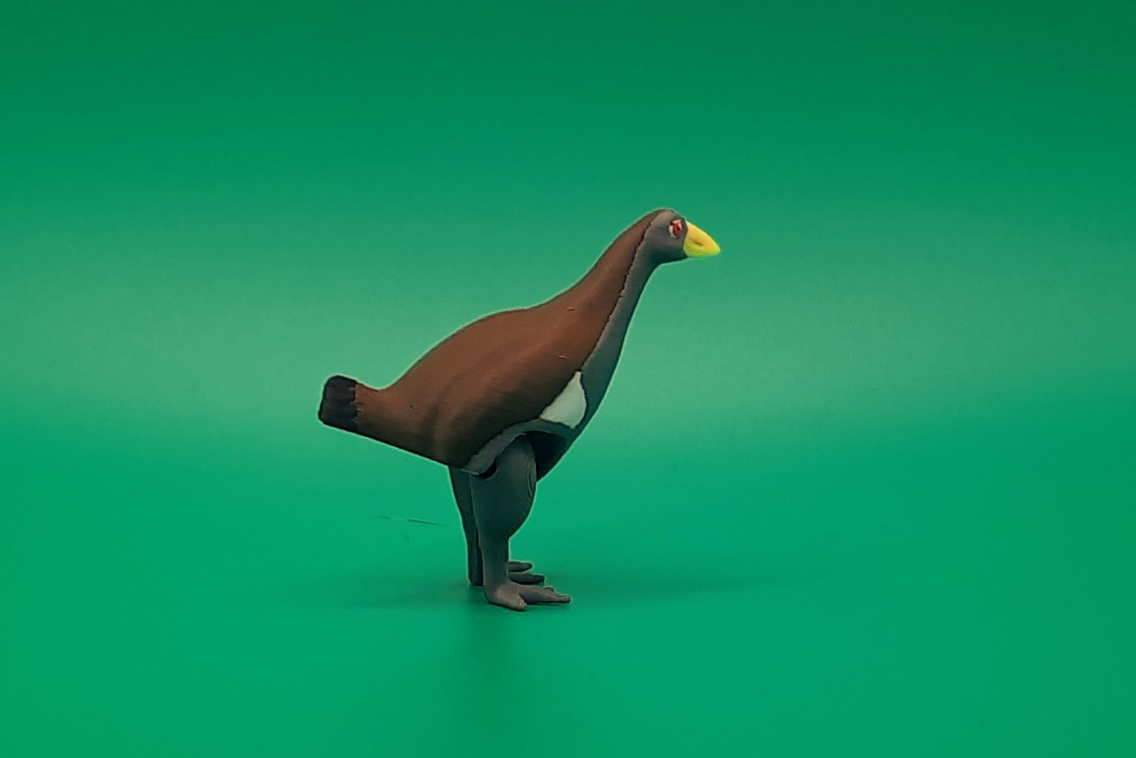 Tasmanian Native Hen - Teeny Weeny by Squiz Creations - Image 5
