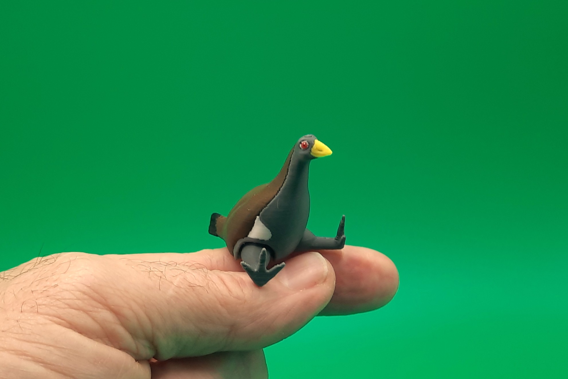 Tasmanian Native Hen - Teeny Weeny by Squiz Creations