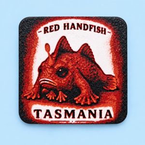 Tasmanian 'Red Handfish' - Fridge Magnets by Squiz Creations